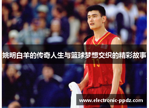 姚明白羊的传奇人生与篮球梦想交织的精彩故事